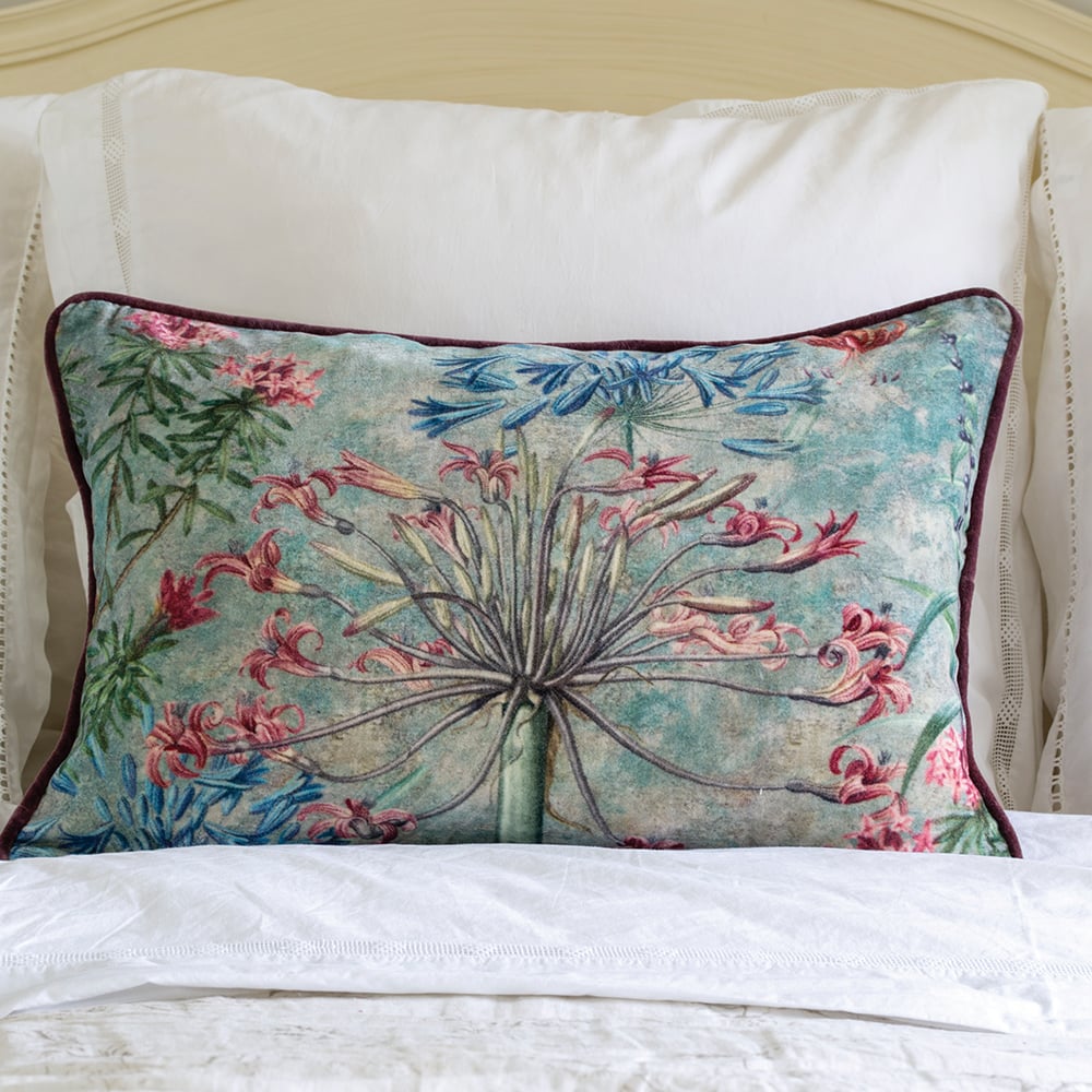 Velvet Cushion Agapanthus Pink/Blue