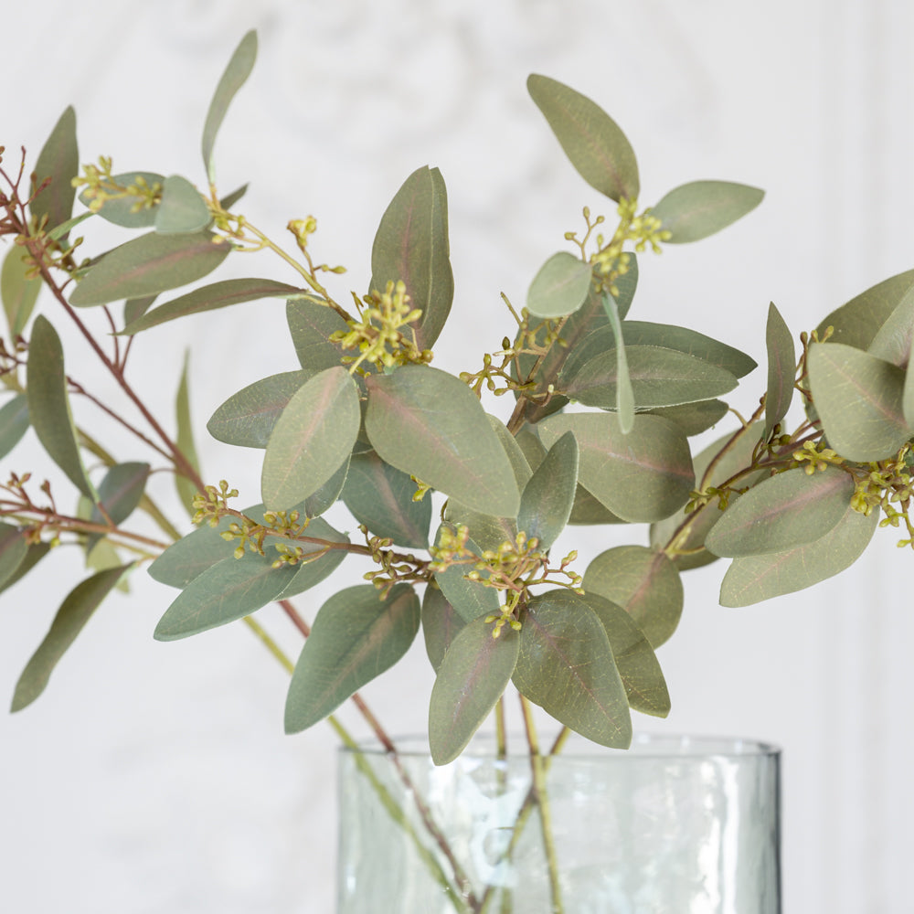 Eucalyptus Spray with Seeds